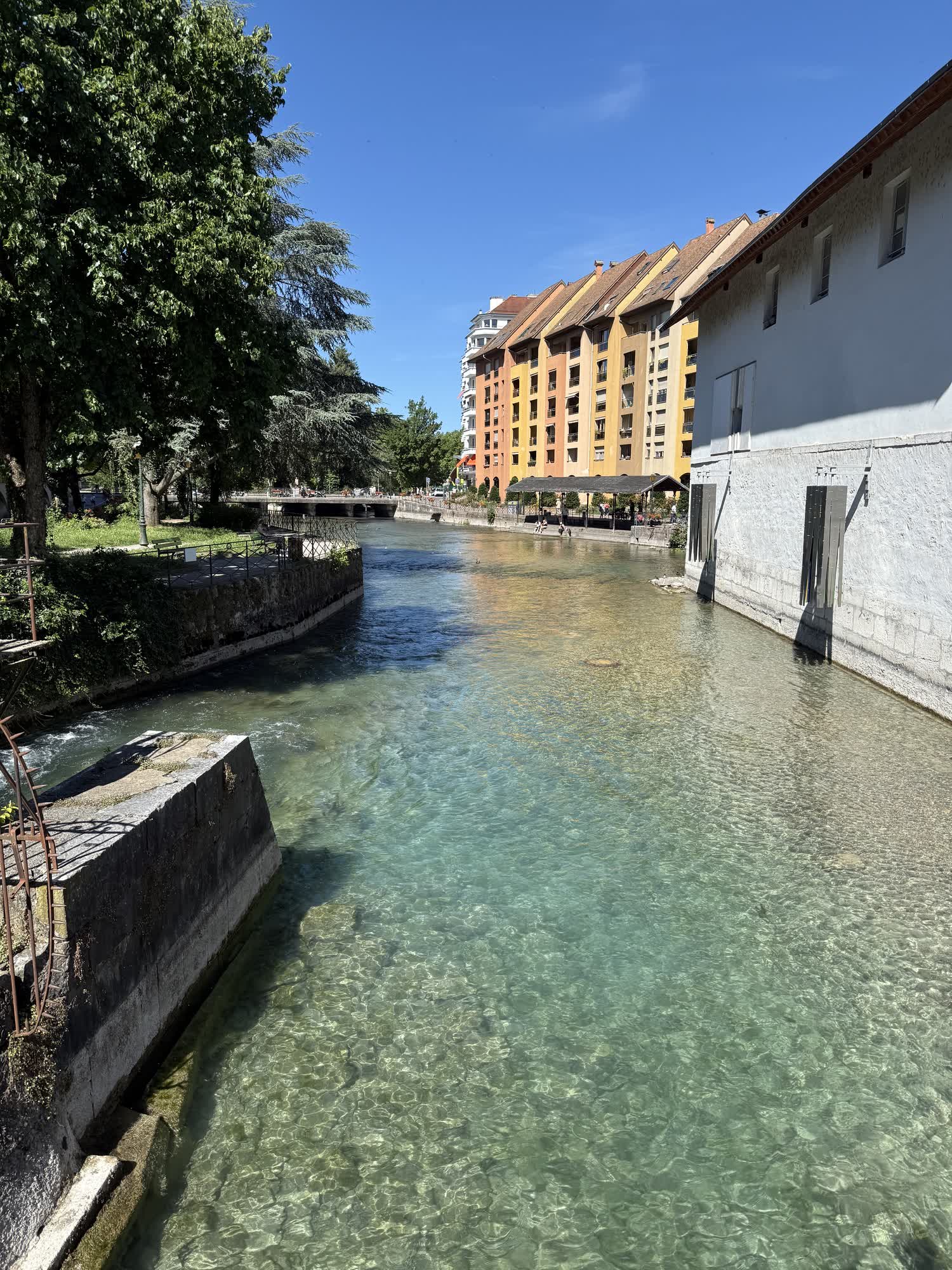 The clear green water of the Thiou canal running between old buildings in morning sun