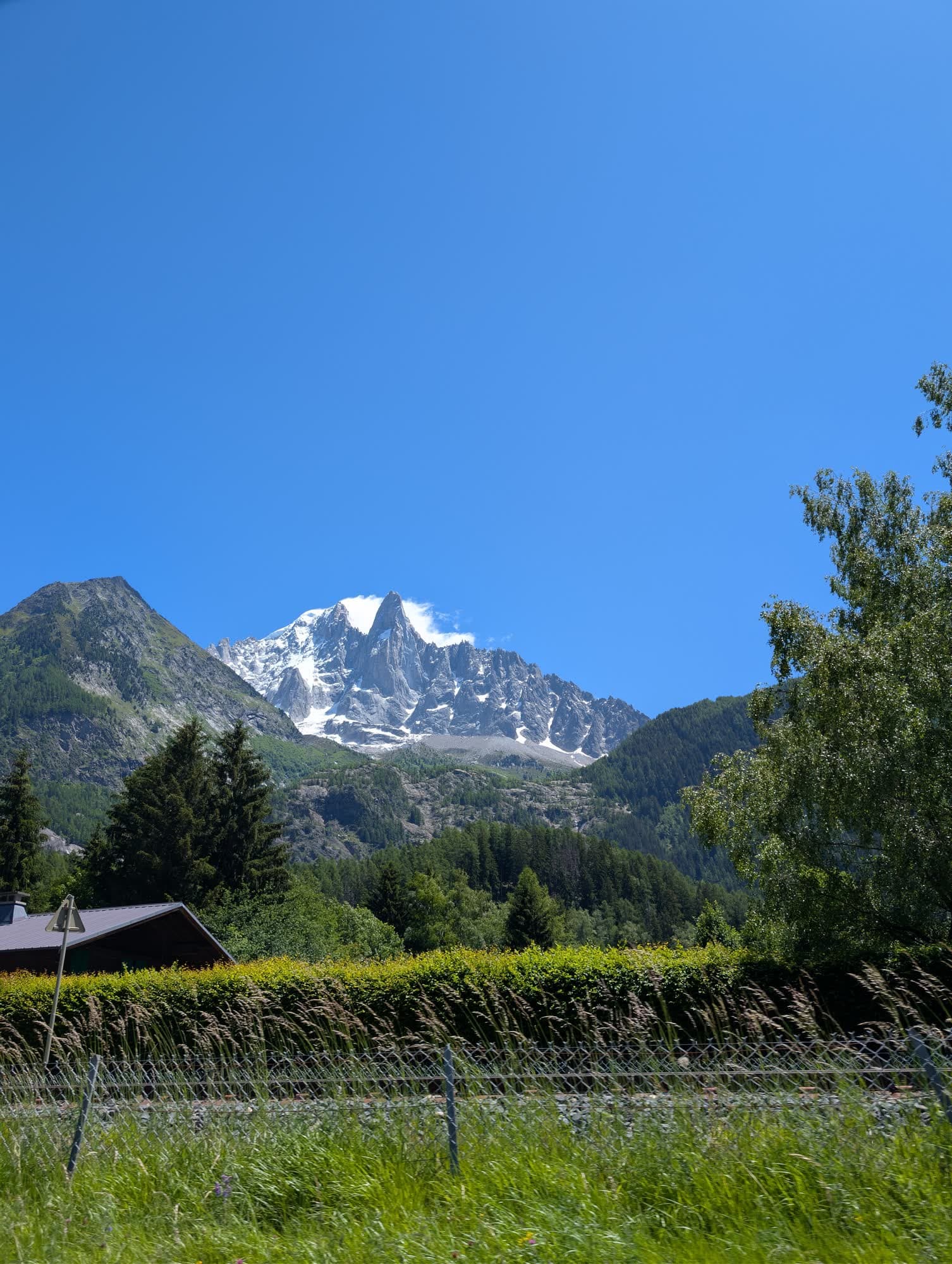 Snow-covered granite peaks above green fields and a line of trees on the valley floor