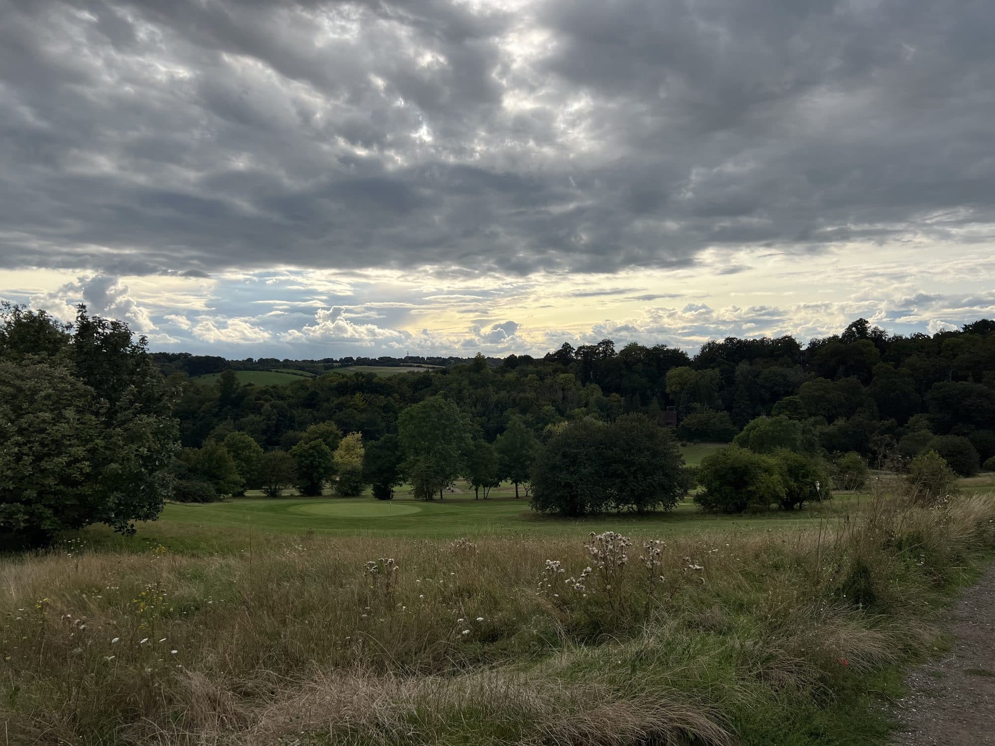 A golf course falling away into a wooded valley under a heavy grey sky, a green in the middle distance and long grass and wildflowers in the foreground